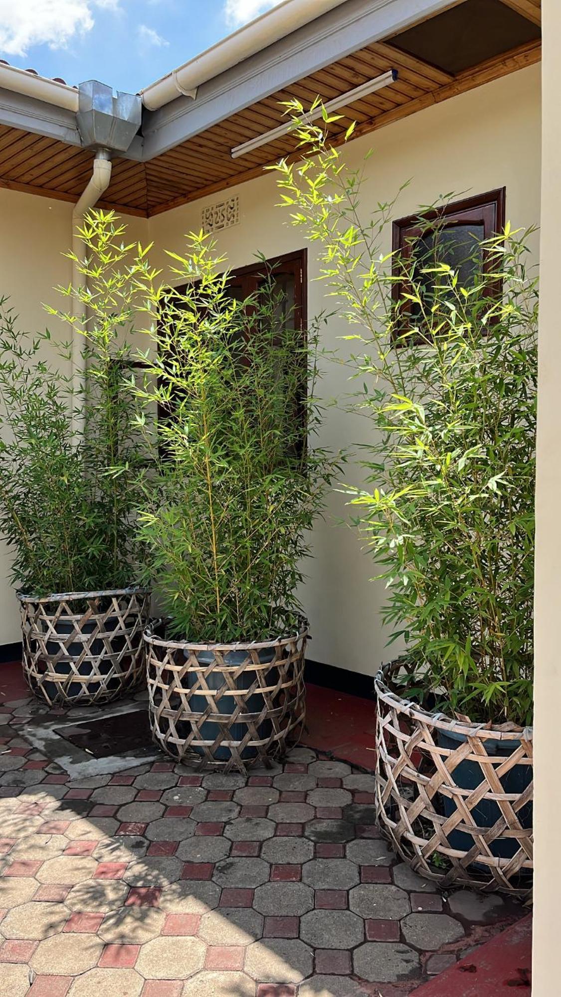 Stasumo House Arusha Bed & Breakfast Exterior photo